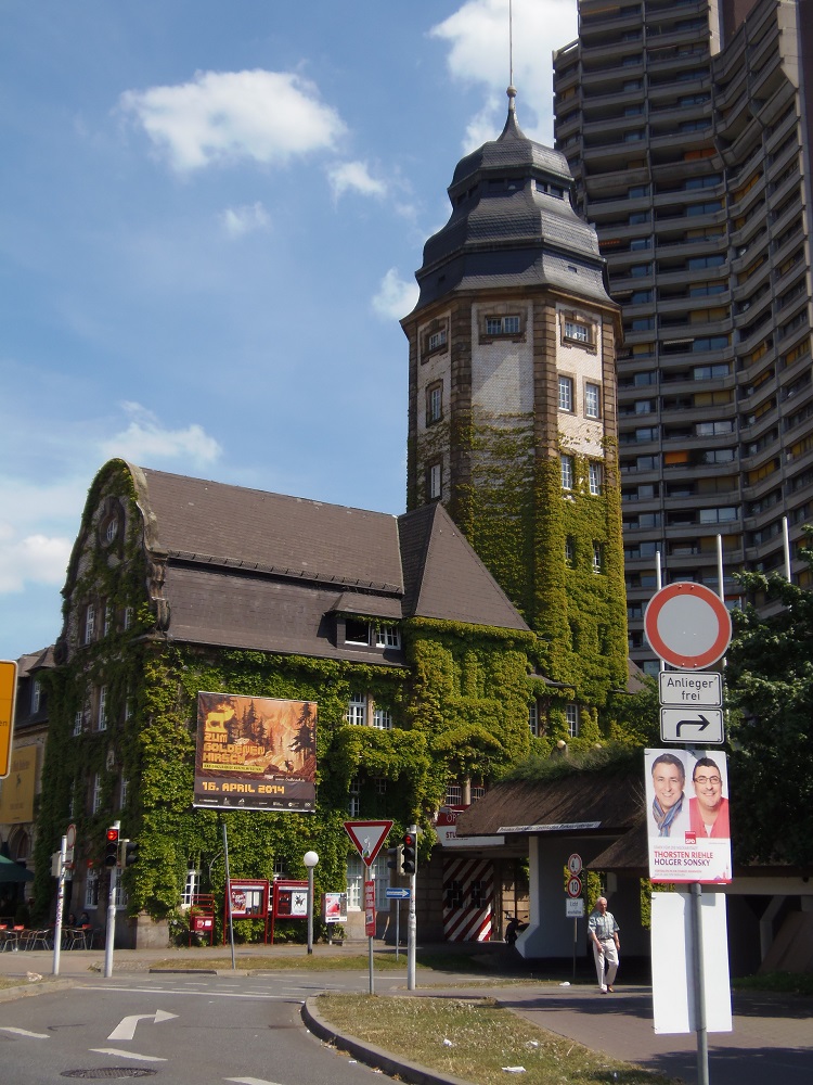 P4251278.JPG
