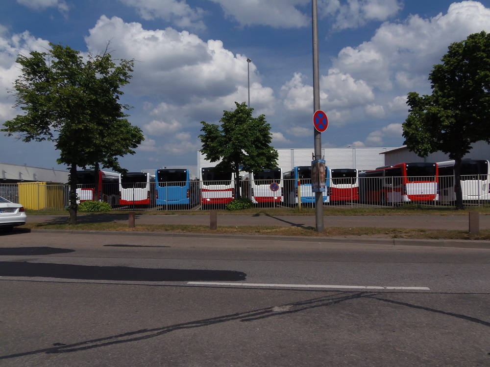 P4251292.JPG