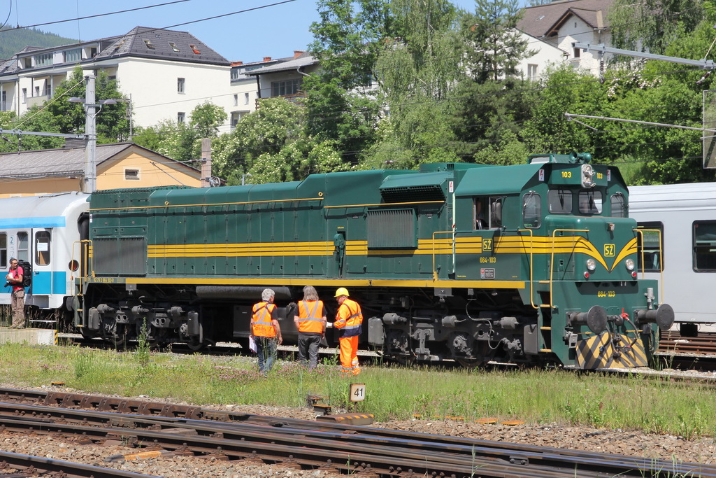 zz Semmeringbahn 140608 dstanicic - 0206_resize.jpg