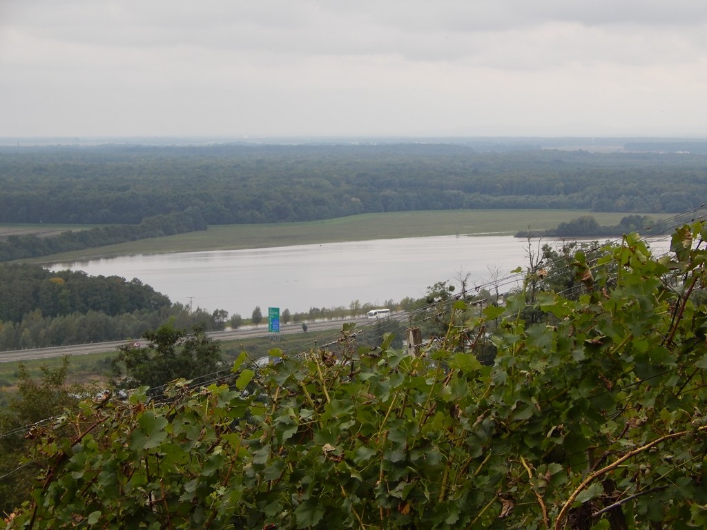 dscn0966.jpg