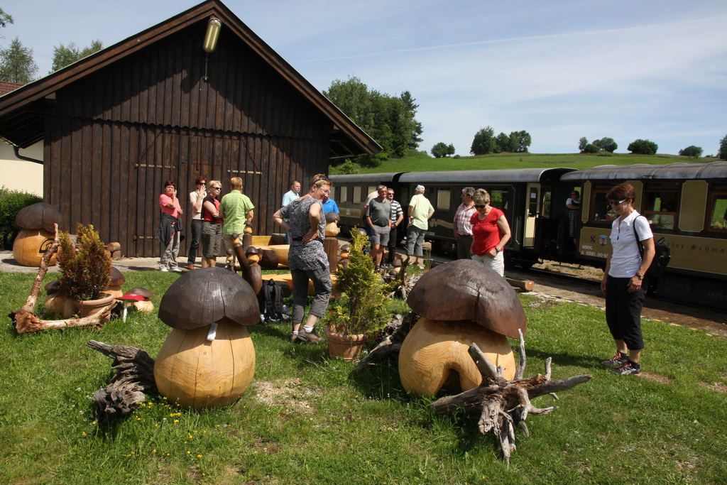 waldviertelbahn 110613 dstanicic_0958_resize.jpg