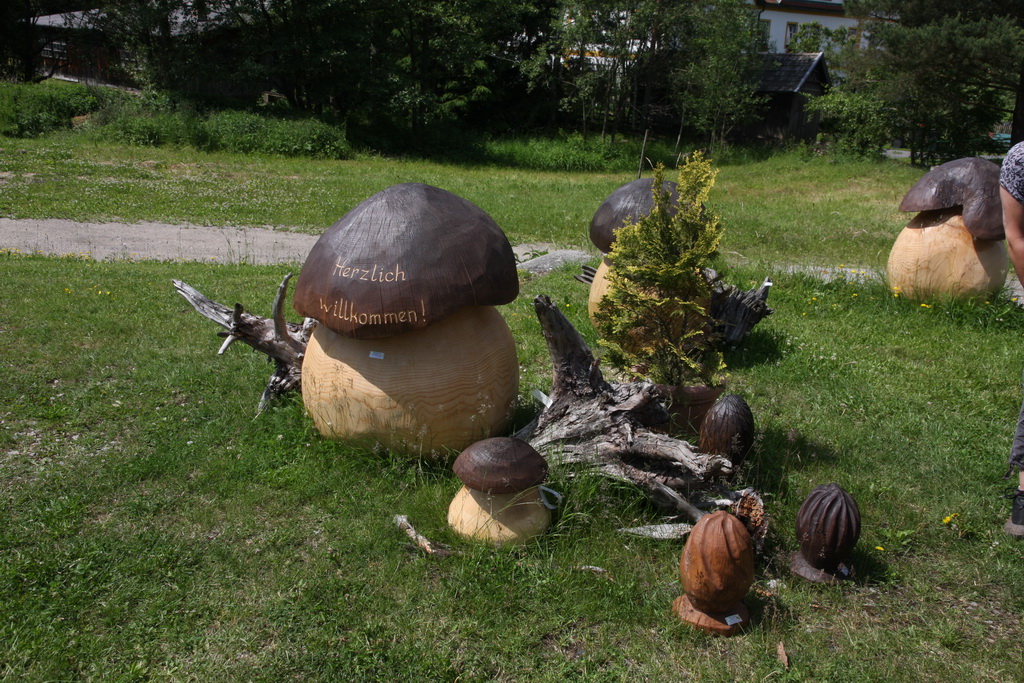 waldviertelbahn 110613 dstanicic_0964_resize.jpg