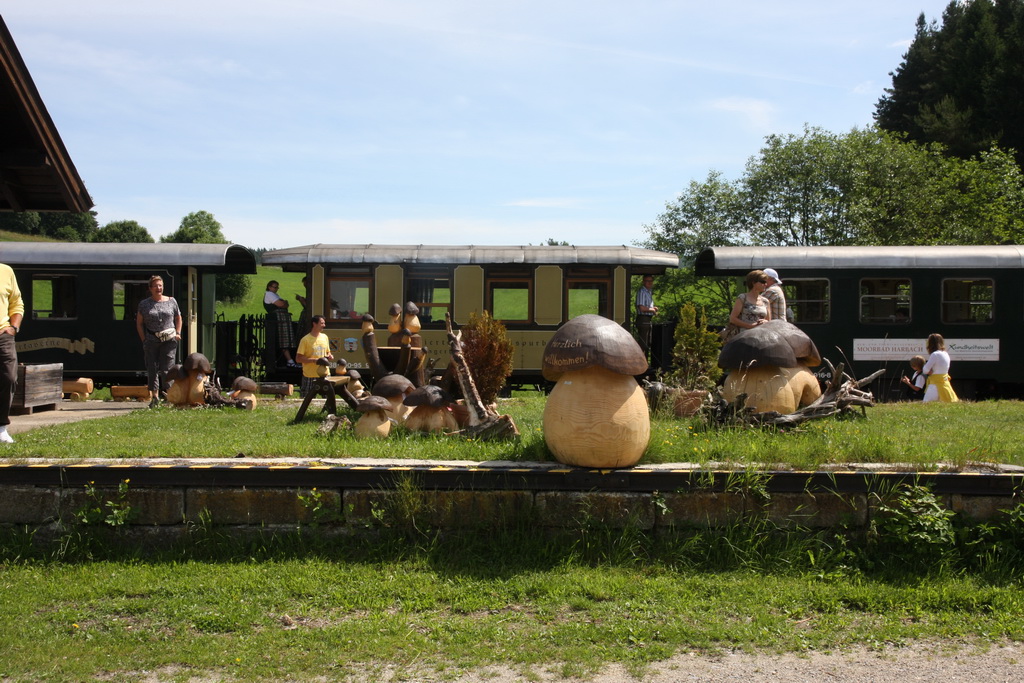 waldviertelbahn 110613 dstanicic_0966_resize.jpg