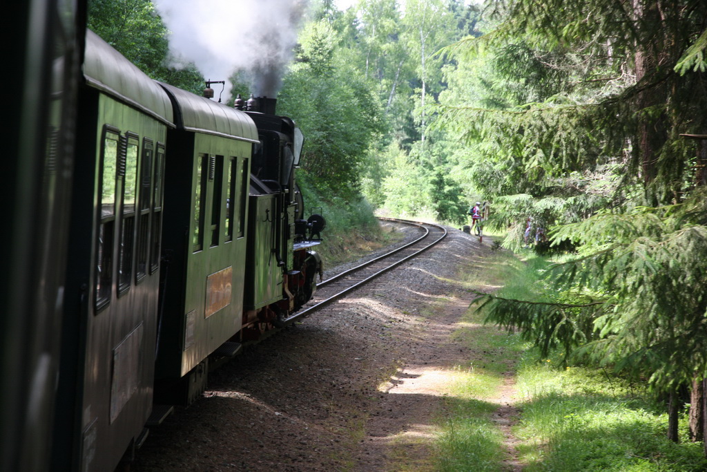 waldviertelbahn 110613 dstanicic_0973_resize.jpg