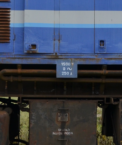 DSC_0300.JPG