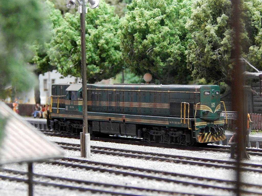 DSCN9837.JPG
