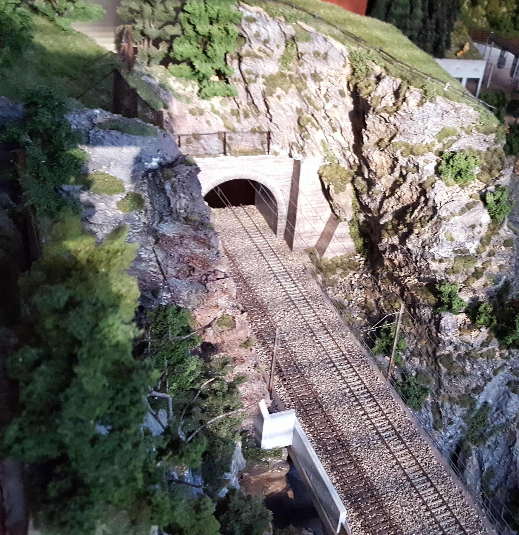 20160902_081741.jpg
