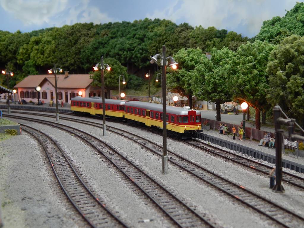 DSCN7810.JPG