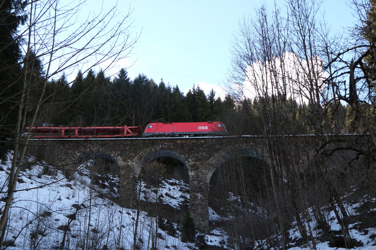 IMG_1195.jpg