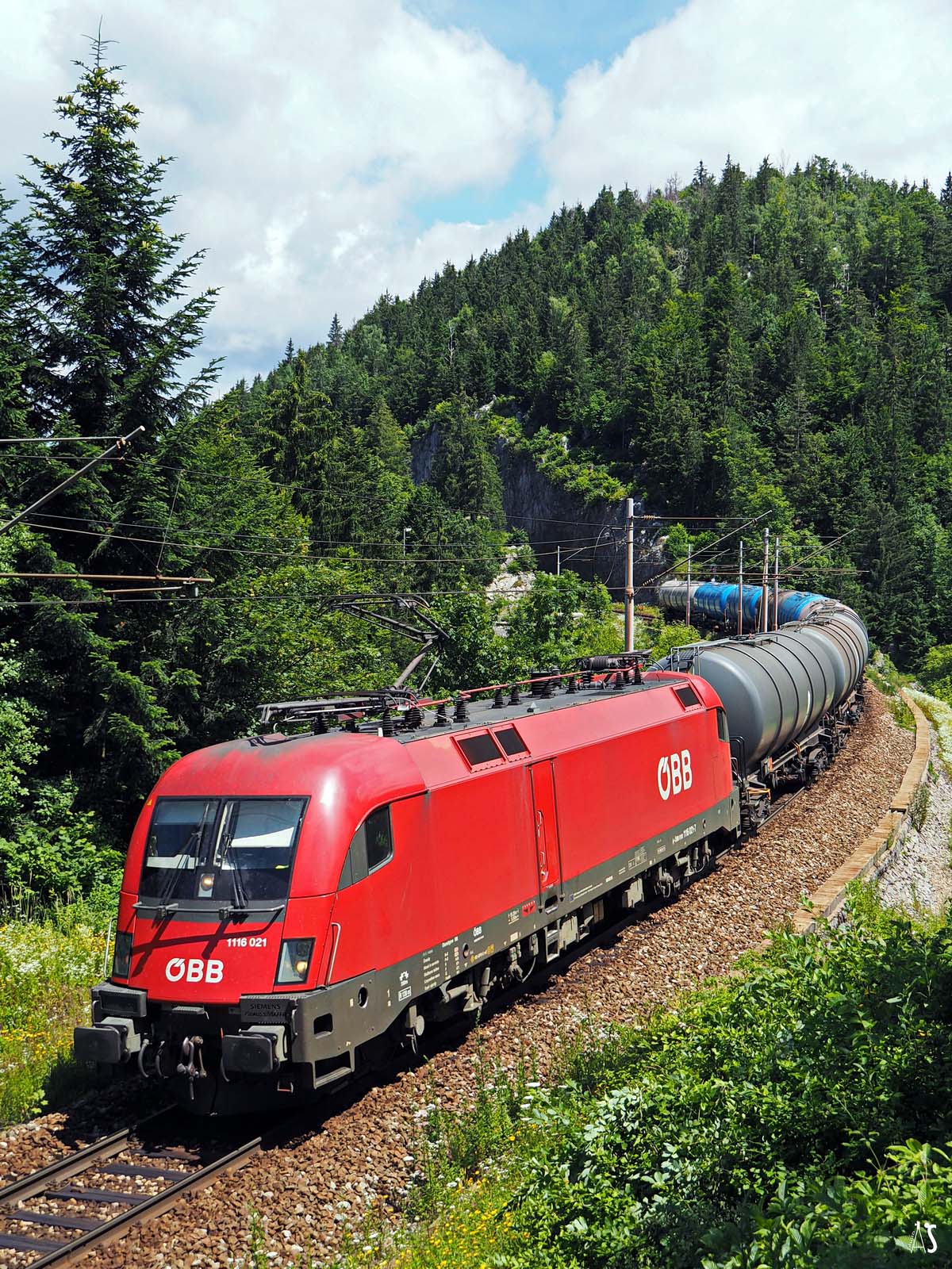 RCCCro 1116 021-7,Lokve,07.07.18AS.jpg