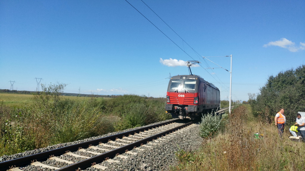 ZZ 20190913_120108_HDR_resize.jpg