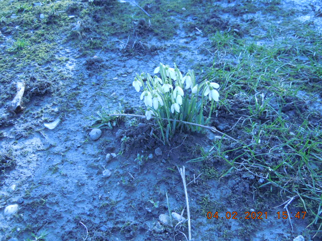 DSCN5378.JPG