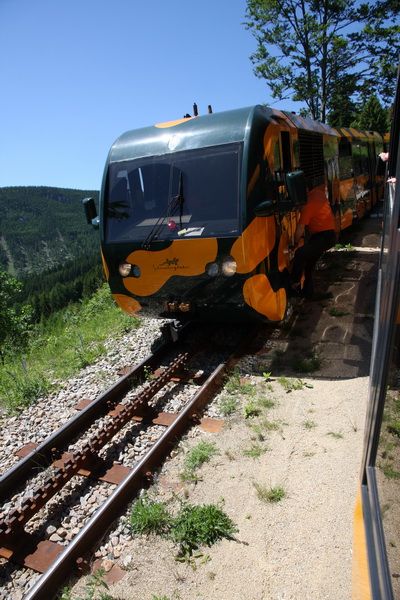 zz Schneebergbahn 120616 dstanicic_6481_resize.jpg