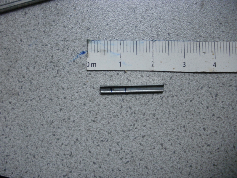 P5020130.JPG