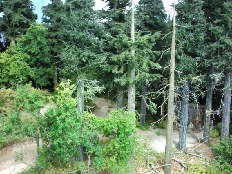 w26-2013-12-28-132031.jpg