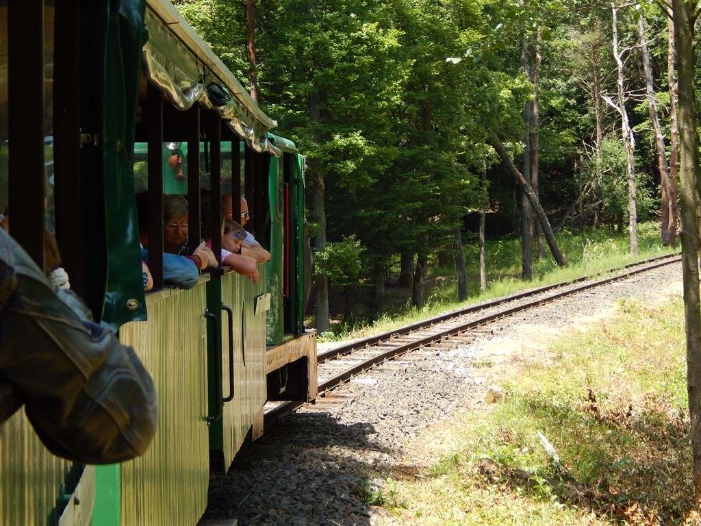 dscn8696.jpg