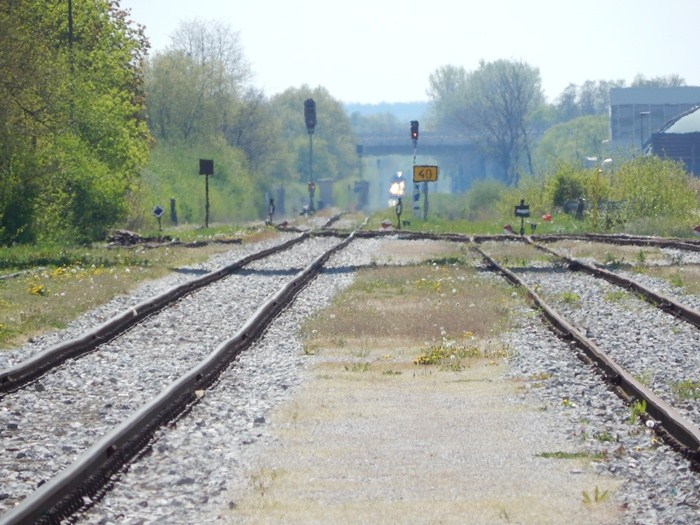 DSCN4562.JPG