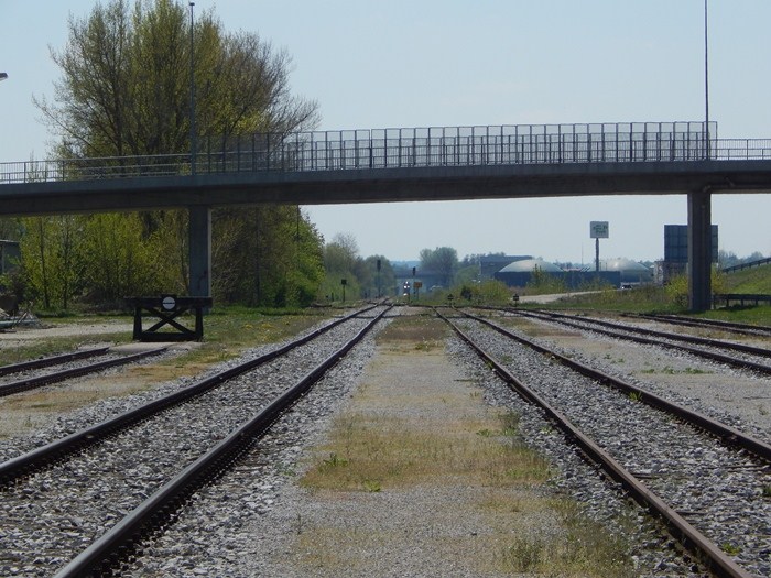 DSCN4565.JPG