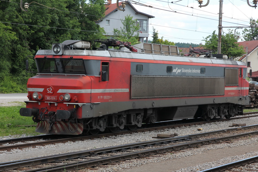 zz rakek 150530 dstanicic - 0228_resize.jpg