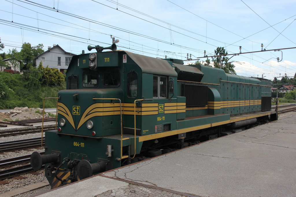 zz rakek 150530 dstanicic - 0236_resize.jpg
