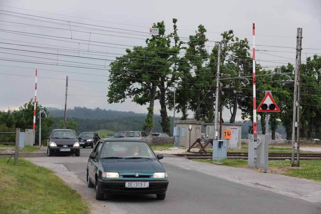 zz rakek 150530 dstanicic - 0251_resize.jpg