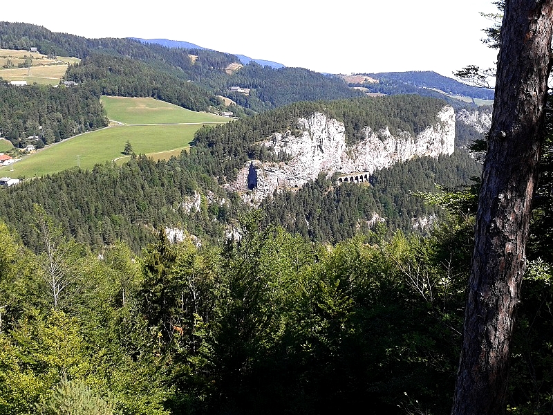 20150828_123325.jpg