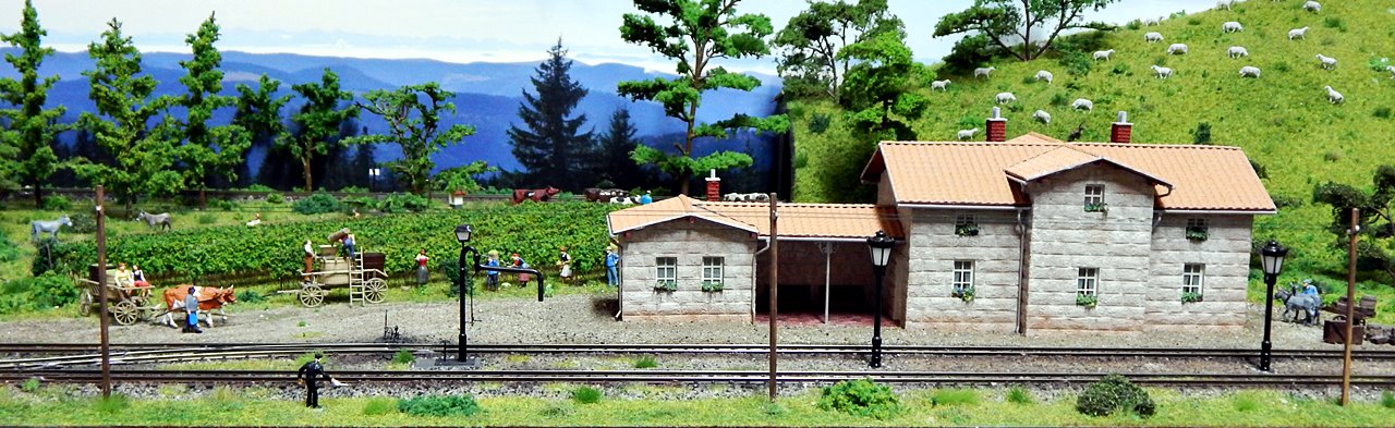 DSCN1048.JPG