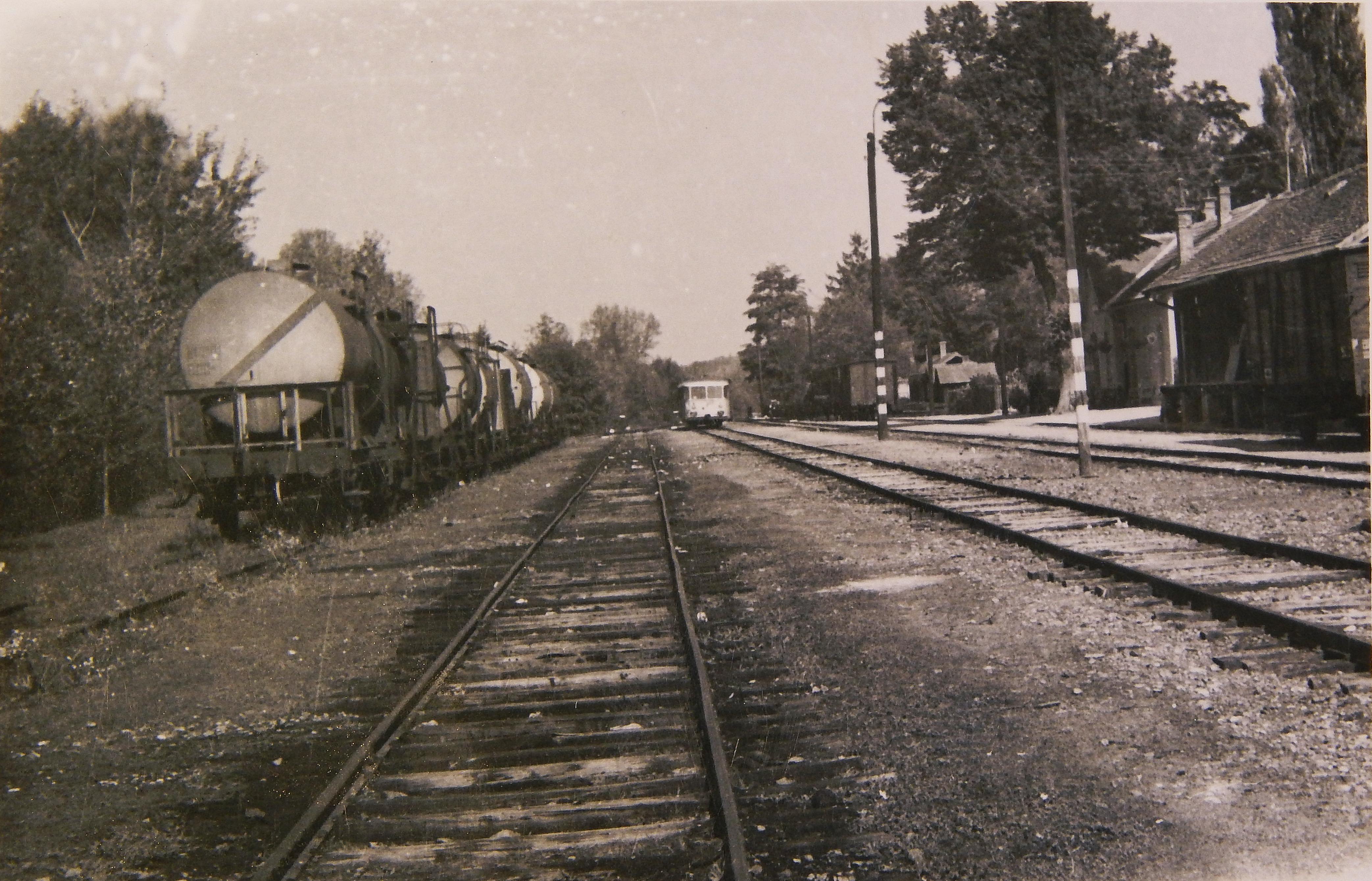 DSCN1250.JPG