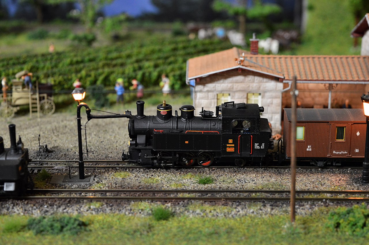 DSC_9810.JPG