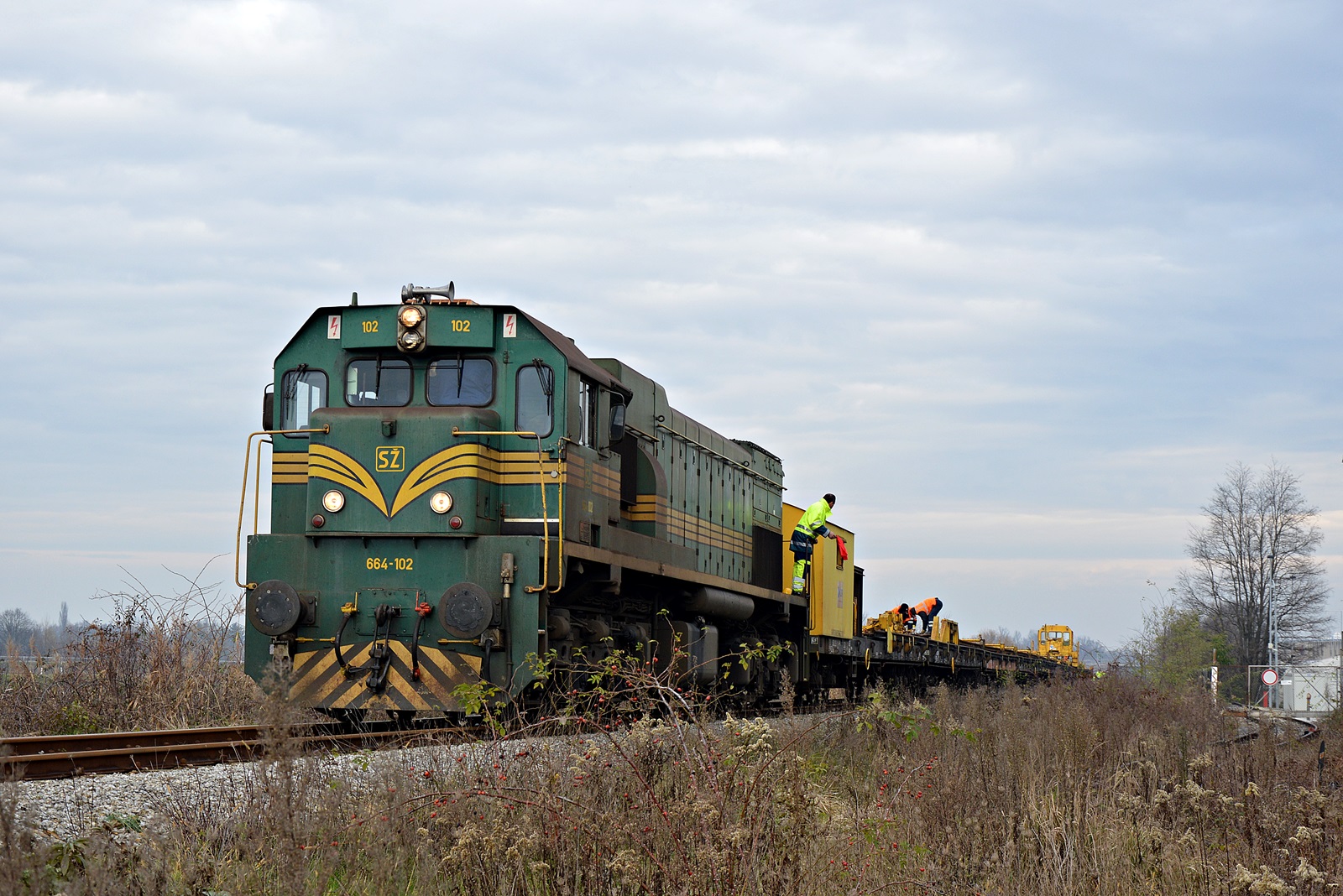 DSC_0094.JPG
