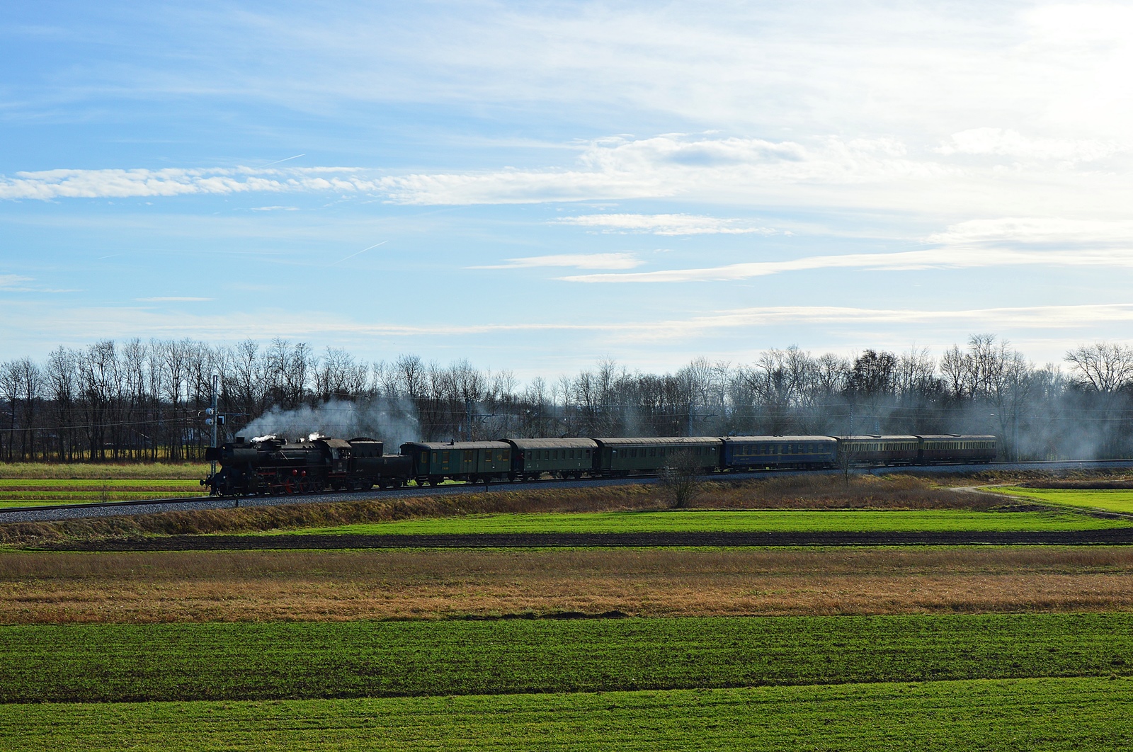 DSC_0443.JPG
