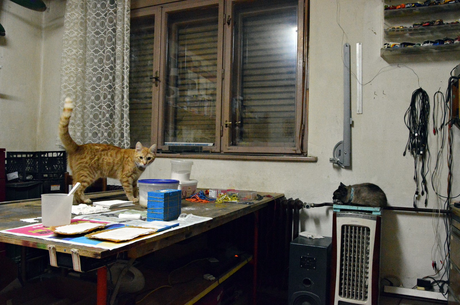 DSC_1665.JPG