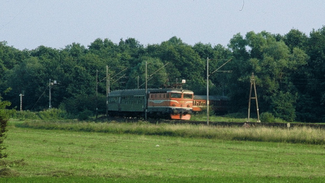 Copy of F1090021.JPG