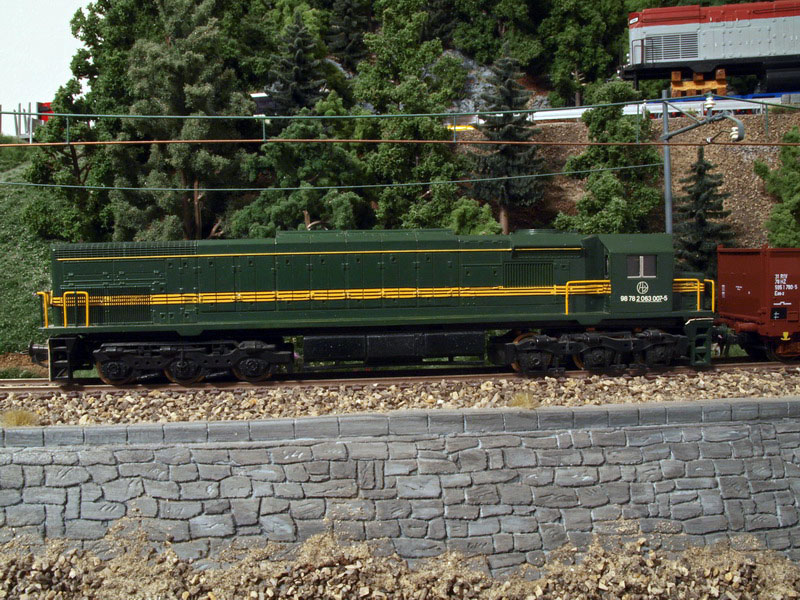 P9022253_resize.JPG