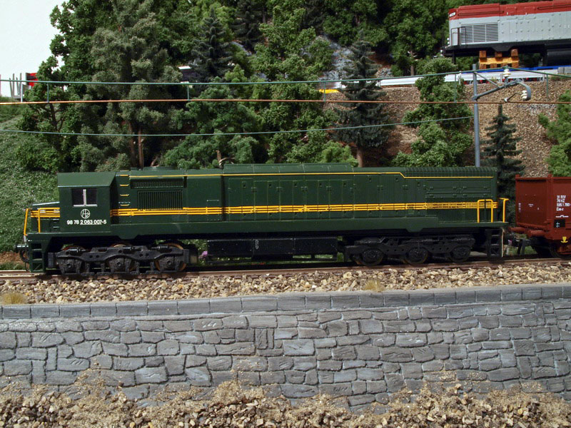 P9022254_resize.JPG
