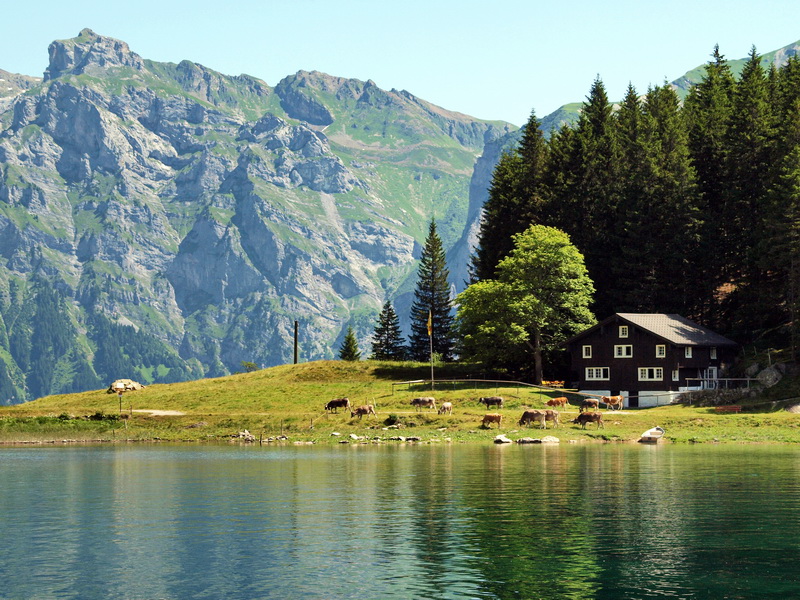 Arnisee-Intschi,09.07.10_06_resize.jpg