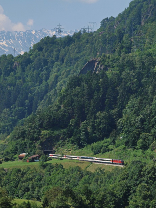 Intschialpbrucke,11.07.13AS_26.JPG